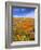 California Poppy Reserve, Lancaster, California, USA-John Alves-Framed Photographic Print