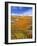 California Poppy Reserve, Lancaster, California, USA-John Alves-Framed Photographic Print