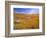 California Poppy Reserve, Lancaster, California, USA-John Alves-Framed Photographic Print