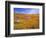 California Poppy Reserve, Lancaster, California, USA-John Alves-Framed Photographic Print