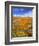 California Poppy Reserve, Lancaster, California, USA-John Alves-Framed Photographic Print