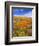 California Poppy Reserve, Lancaster, California, USA-John Alves-Framed Photographic Print