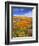 California Poppy Reserve, Lancaster, California, USA-John Alves-Framed Photographic Print