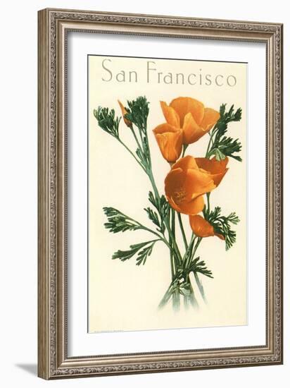 California Poppy, San Francisco-null-Framed Art Print