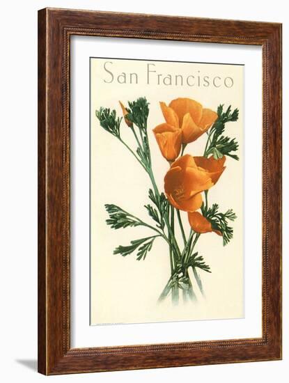 California Poppy, San Francisco-null-Framed Art Print