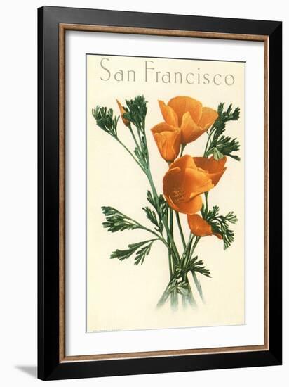 California Poppy, San Francisco-null-Framed Art Print