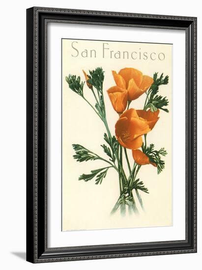 California Poppy, San Francisco-null-Framed Art Print