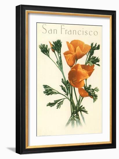 California Poppy, San Francisco-null-Framed Art Print