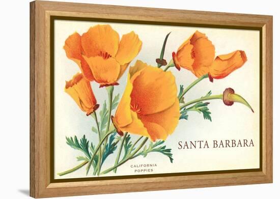 California Poppy, Santa Barbara, California-null-Framed Stretched Canvas