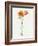 California Poppy Vase II-Grace Popp-Framed Art Print