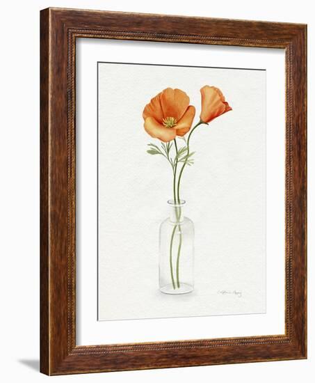 California Poppy Vase II-Grace Popp-Framed Art Print