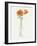 California Poppy Vase II-Grace Popp-Framed Art Print