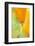 California Poppy-Darrell Gulin-Framed Photographic Print