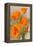 California Poppy-null-Framed Stretched Canvas