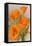 California Poppy-null-Framed Stretched Canvas