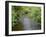 California, Prairie Creek Redwoods State Park-John Barger-Framed Photographic Print