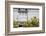 California, Prickly Pear Cactus in Front-Alison Jones-Framed Photographic Print