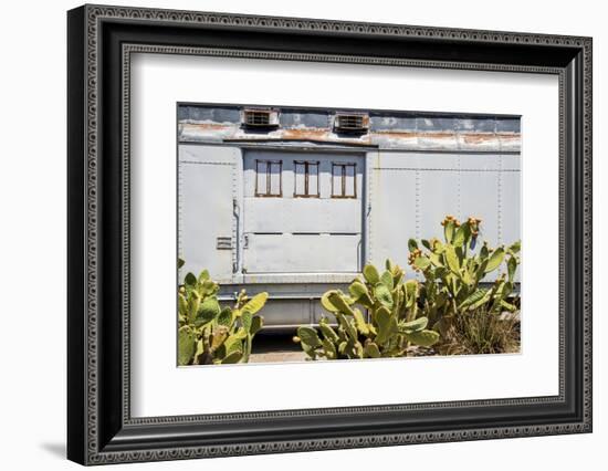 California, Prickly Pear Cactus in Front-Alison Jones-Framed Photographic Print