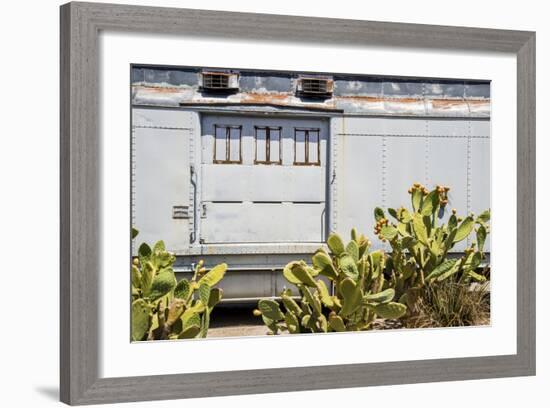 California, Prickly Pear Cactus in Front-Alison Jones-Framed Photographic Print