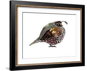California Quail-Suren Nersisyan-Framed Art Print