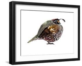 California Quail-Suren Nersisyan-Framed Art Print