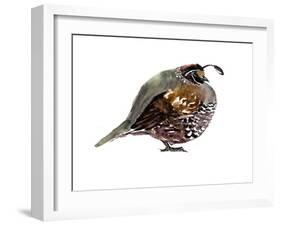 California Quail-Suren Nersisyan-Framed Art Print