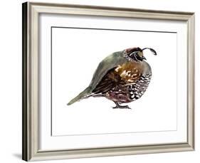 California Quail-Suren Nersisyan-Framed Art Print