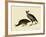 California Quail-John James Audubon-Framed Giclee Print