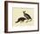 California Quail-John James Audubon-Framed Giclee Print