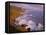 California, Redwood National and State Parks-John Barger-Framed Premier Image Canvas