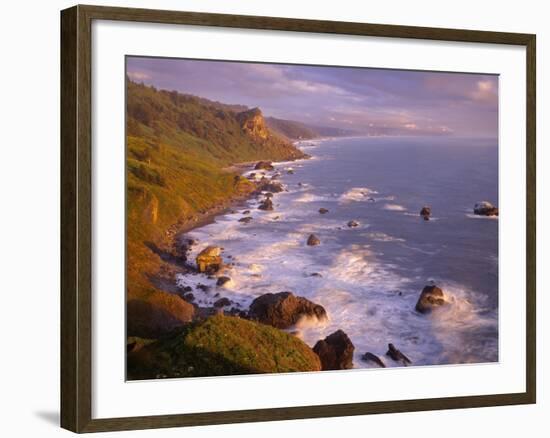 California, Redwood National and State Parks-John Barger-Framed Photographic Print