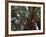 California, Redwood National Park, Redwood Tree Forest, USA-Michele Falzone-Framed Photographic Print