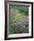 California, Redwood National Park-John Barger-Framed Photographic Print