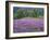 California, Redwood National Park-John Barger-Framed Photographic Print