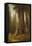 California Redwood Trees-Thomas Hill-Framed Premier Image Canvas