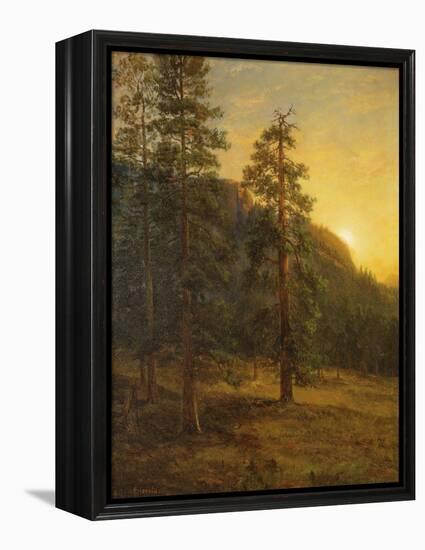 California Redwoods, 1872-Albert Bierstadt-Framed Premier Image Canvas