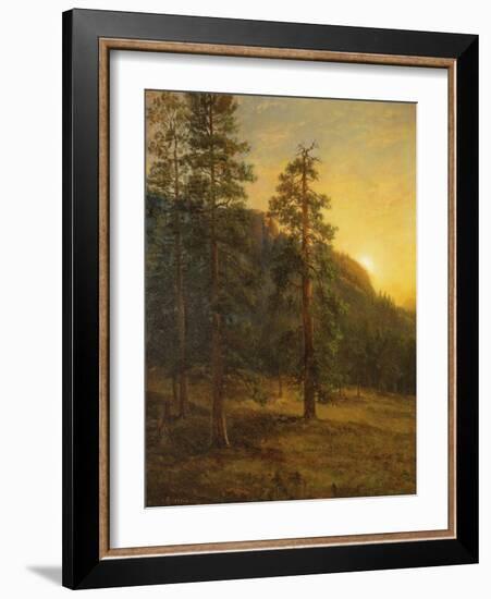 California Redwoods, 1872-Albert Bierstadt-Framed Giclee Print