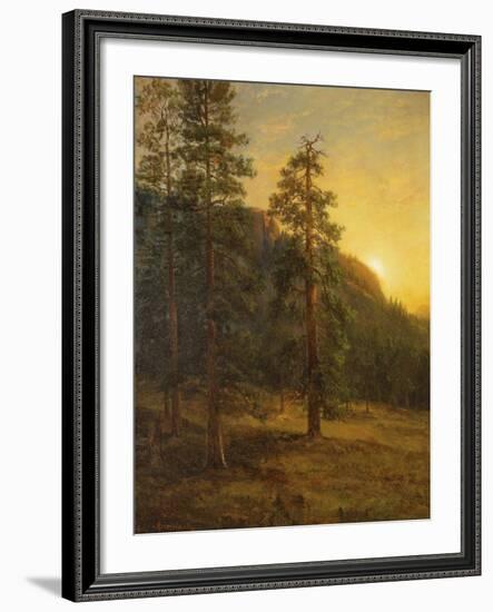 California Redwoods, 1872-Albert Bierstadt-Framed Giclee Print