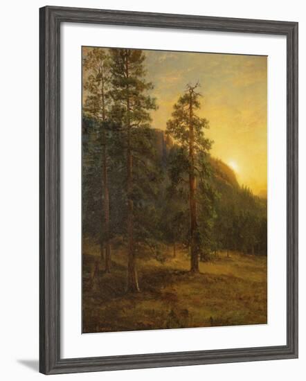 California Redwoods, 1872-Albert Bierstadt-Framed Giclee Print