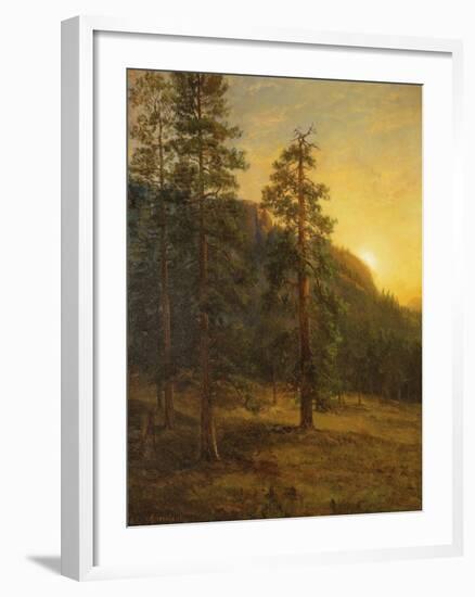 California Redwoods, 1872-Albert Bierstadt-Framed Giclee Print