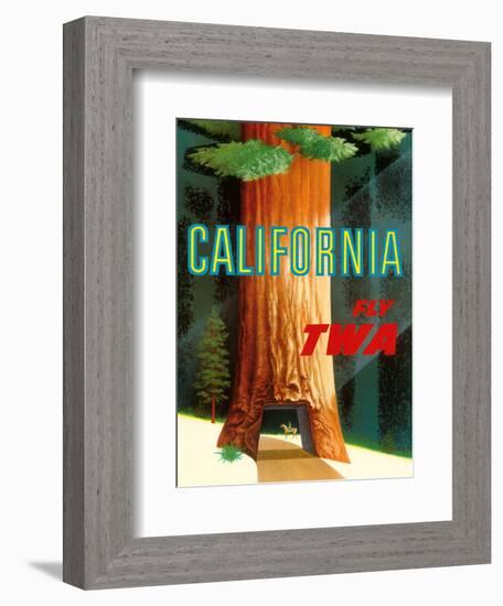 California Redwoods - TWA (Trans World Airlines)-David Klein-Framed Art Print