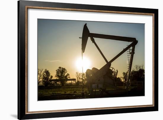 California, Sacramento River-San Joaquin Delta Area, Jersey Island-Alison Jones-Framed Photographic Print