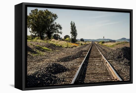 California, Sacramento River-San Joaquin Delta Area, Mcavoy Harbor-Alison Jones-Framed Premier Image Canvas