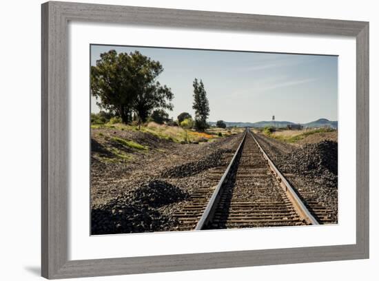 California, Sacramento River-San Joaquin Delta Area, Mcavoy Harbor-Alison Jones-Framed Photographic Print