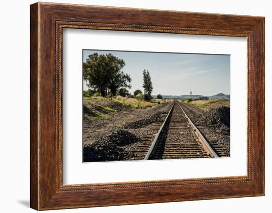 California, Sacramento River-San Joaquin Delta Area, Mcavoy Harbor-Alison Jones-Framed Photographic Print