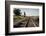 California, Sacramento River-San Joaquin Delta Area, Mcavoy Harbor-Alison Jones-Framed Photographic Print