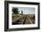 California, Sacramento River-San Joaquin Delta Area, Mcavoy Harbor-Alison Jones-Framed Photographic Print