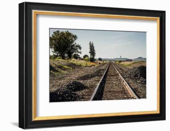 California, Sacramento River-San Joaquin Delta Area, Mcavoy Harbor-Alison Jones-Framed Photographic Print