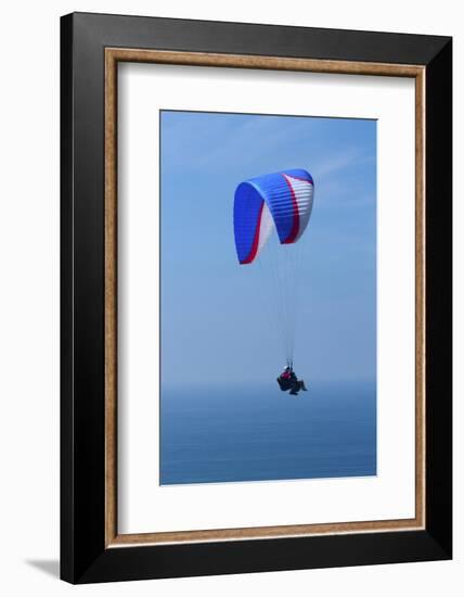 California, San Diego. Hang Glider Flying at Torrey Pines Gliderport-Steve Ross-Framed Photographic Print