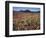 California, San Diego, Rancho Cuyamaca Sp, Flowers by Cuyamaca Lake-Christopher Talbot Frank-Framed Photographic Print